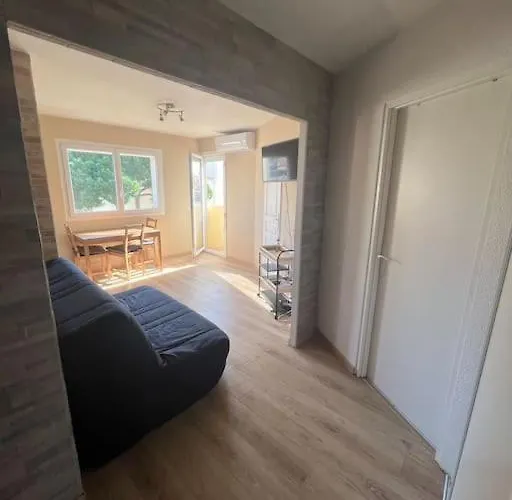 Appartement Avec Piscine. Agde